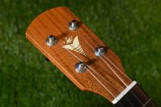 K.Yairi UC-M1 Concert_5