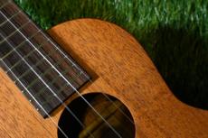 K.Yairi UC-M1 Concert_10