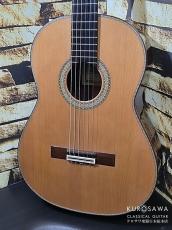 Paulino Bernabe [パウリーノ・ベルナベ] Especial エスペシャル 杉 最新作!【日本総本店2F 在庫品】