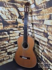 Paulino Bernabe [パウリーノ・ベルナベ] Especial エスペシャル 杉 最新作!【日本総本店2F 在庫品】_2