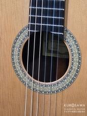 Paulino Bernabe [パウリーノ・ベルナベ] Especial エスペシャル 杉 最新作!【日本総本店2F 在庫品】_3