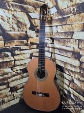 Paulino Bernabe [パウリーノ・ベルナベ] M-50 杉・マダガスカルローズウッド 最新作!【日本総本店2F 在庫品】_2