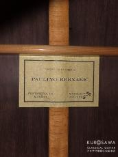 Paulino Bernabe [パウリーノ・ベルナベ] M-50 杉・マダガスカルローズウッド 最新作!【日本総本店2F 在庫品】_4