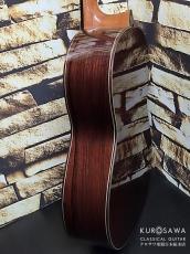 Paulino Bernabe [パウリーノ・ベルナベ] M-50 杉・マダガスカルローズウッド 最新作!【日本総本店2F 在庫品】_10