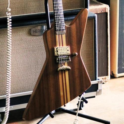 FERNANDES Custom order 