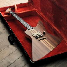 FERNANDES Custom order _2