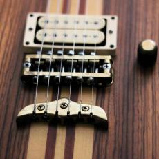 FERNANDES Custom order _3