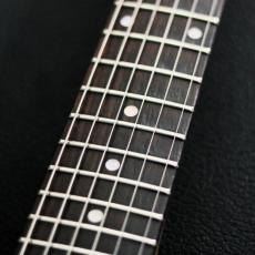 FERNANDES Custom order _4