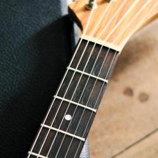 FERNANDES Custom order _5