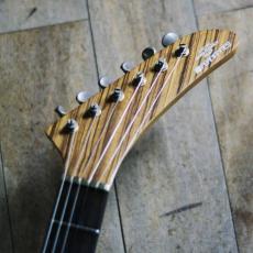 FERNANDES Custom order _13