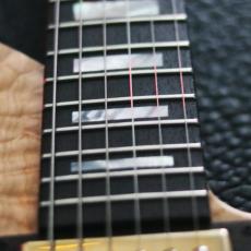 Fodera Imperial custom_7