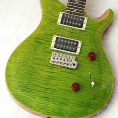Paul Reed Smith [PRS] SE Custom 24 ～Eriza Verde～ #CTIG005737 [3.54kg]【48回無金利】