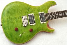 Paul Reed Smith [PRS] SE Custom 24 ～Eriza Verde～ #CTIG005737 [3.54kg]【48回無金利】_2