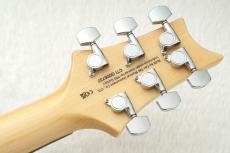 Paul Reed Smith [PRS] SE Custom 24 ～Eriza Verde～ #CTIG005737 [3.54kg]【48回無金利】_10