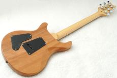 Paul Reed Smith [PRS] SE Custom 24 ～Eriza Verde～ #CTIG005737 [3.54kg]【48回無金利】_11
