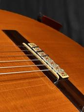 Jose Oribe Caridad Sprema  杉/ハカランダ単板　　ロジャース_9