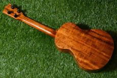 Lasting LSC-K-Wave Concert【USED】_4