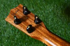 Lasting LSC-K-Wave Concert【USED】_6