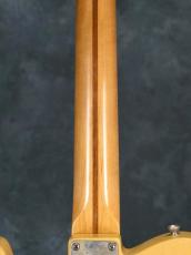 RS Guitarworks Workhorse Butterscotch Blonde Road Warrior with Pickguard_13