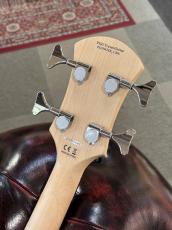 Pignose PGB-200 - Brown Sunburst -_4