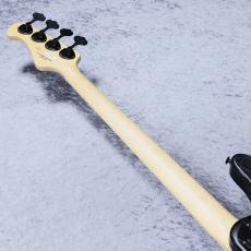 FUJIGEN JMJ2B-ASH-M/OPB - Open Pore Black -【4.58kg】【#K240137】_9