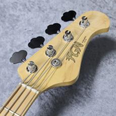 FUJIGEN JMJ2-ASH-M/SBB - Seethrough blue Burst - 【5.00kg】【#E250101】_6