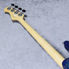 FUJIGEN JMJ2-ASH-M/SBB - Seethrough blue Burst - 【5.00kg】【#E250101】_9