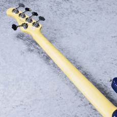 FUJIGEN JMJ52-ASH-M/SBB - See-Thru Blue Burst -【5.35kg】【#D240636】_9