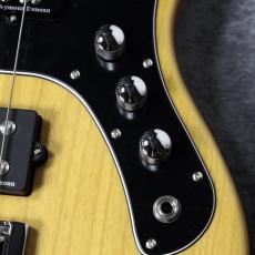 FUJIGEN JMJ2-ASH-M/VNT - Vintage Natural -【4.05kg】【#D240577】_3