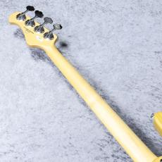 FUJIGEN JMJ2-ASH-M/VNT - Vintage Natural -【4.05kg】【#D240577】_9