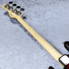 FUJIGEN KNJB200MRAL - VSBU -【4.21kg】【#A250208】_8