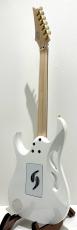 Ibanez PIA3761 / SLW (Stallion White)_6