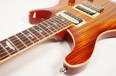 Paul Reed Smith [PRS] 【USED】SE Custom 24 Zebrawood -Vintage Sunburst-【3.57kg】_6