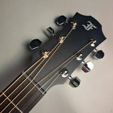 Furch Guitars Violet Gc-EM a Master’s Choice_2