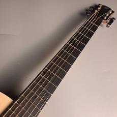 Furch Guitars Violet Gc-EM a Master’s Choice_3