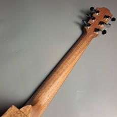 Furch Guitars Violet Gc-EM a Master’s Choice_7