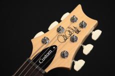 Paul Reed Smith [PRS] SE Custom24 Slate Blue 2025【現物画像】【新仕様・NEWカラー】_9