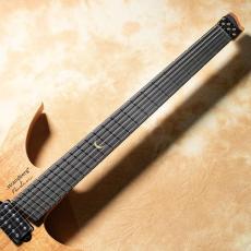strandberg Boden Prog NX 6 Plini Edition_4