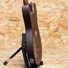 Fender Acoustasonic Standard Telecaster  Honey Burst_5