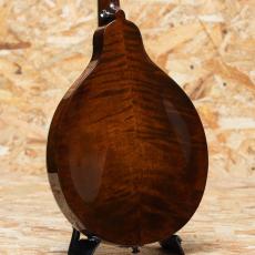 Eastman MD504 2022_2