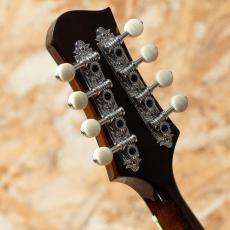 Eastman MD504 2022_9