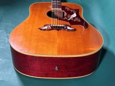 Gibson DOVE NT_11