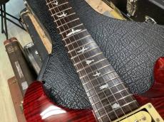 Paul Reed Smith [PRS]  SE CUSTOM 24_8