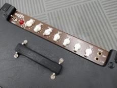 Laney CUB12R Jensen C12N_3