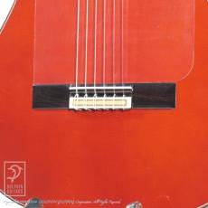 Esteve GIPSY KINGS by André Reyes【48回無金利キャンペーン発動中!】_10