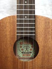 aNueNue Hawaiian Dream Series Mahogany Ⅲ (aNN-U3) 【U Series】【テナー/マホガニー】【送料込】_6