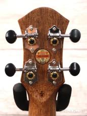 aNueNue Hawaiian Dream Series Mahogany Ⅲ (aNN-U3) 【U Series】【テナー/マホガニー】【送料込】_9