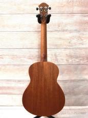 aNueNue Hawaiian Dream Series Mahogany Ⅲ (aNN-U3) 【U Series】【テナー/マホガニー】【送料込】_11