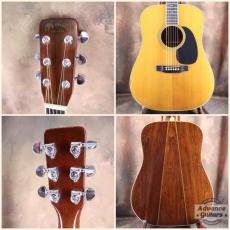 Martin 1968年製 D-35_2