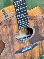 Taylor 【最終入荷‼】724ce V-Class -Hawaiian Koa- #1208243076【48回迄金利0%対象】_3